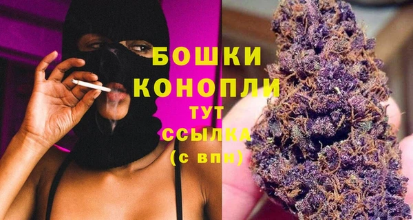 крисы Богородицк