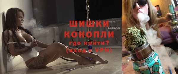 крисы Богородицк