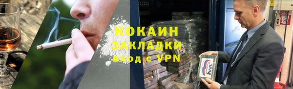 крисы Богородицк