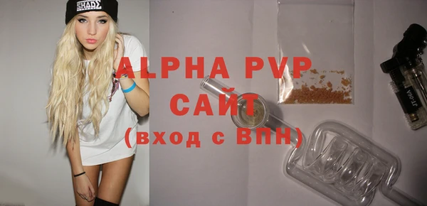 крисы Богородицк