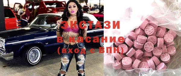 крисы Богородицк
