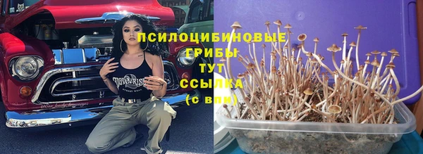 крисы Богородицк