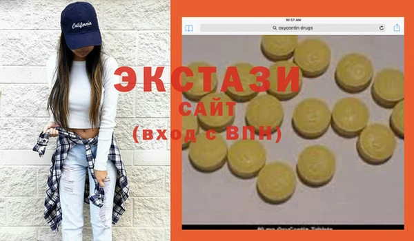 крисы Богородицк