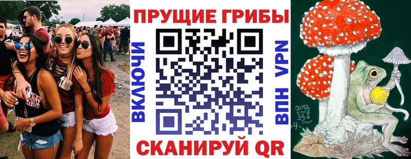 Галлюциногенные грибы GOLDEN TEACHER  площадка телеграм  Армавир 
